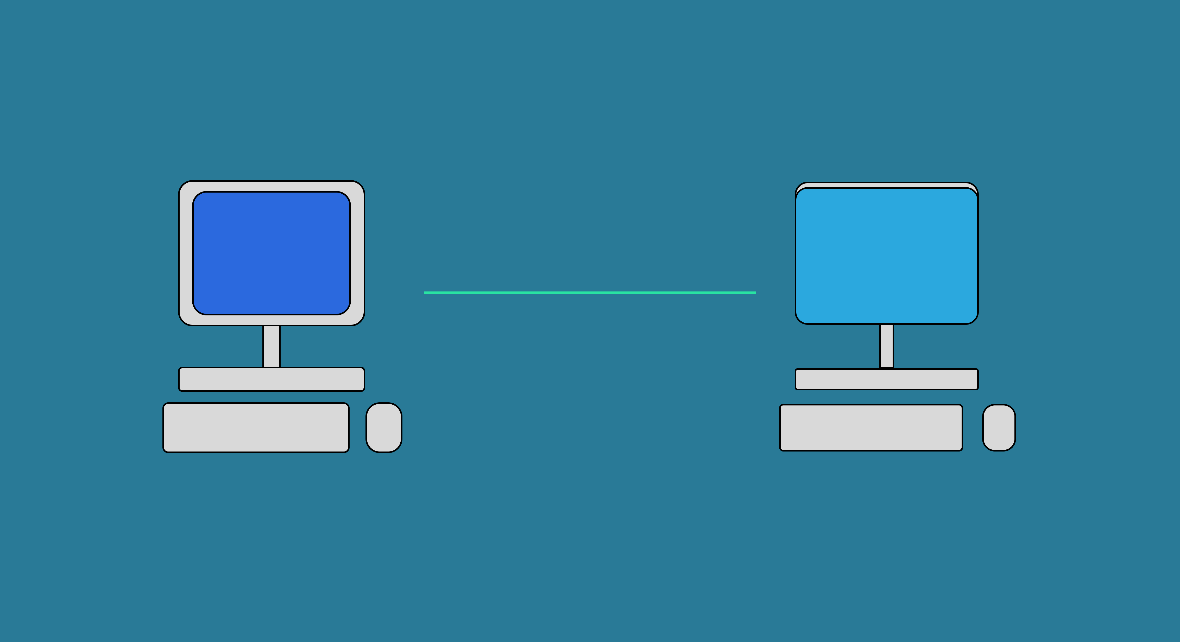 Network project