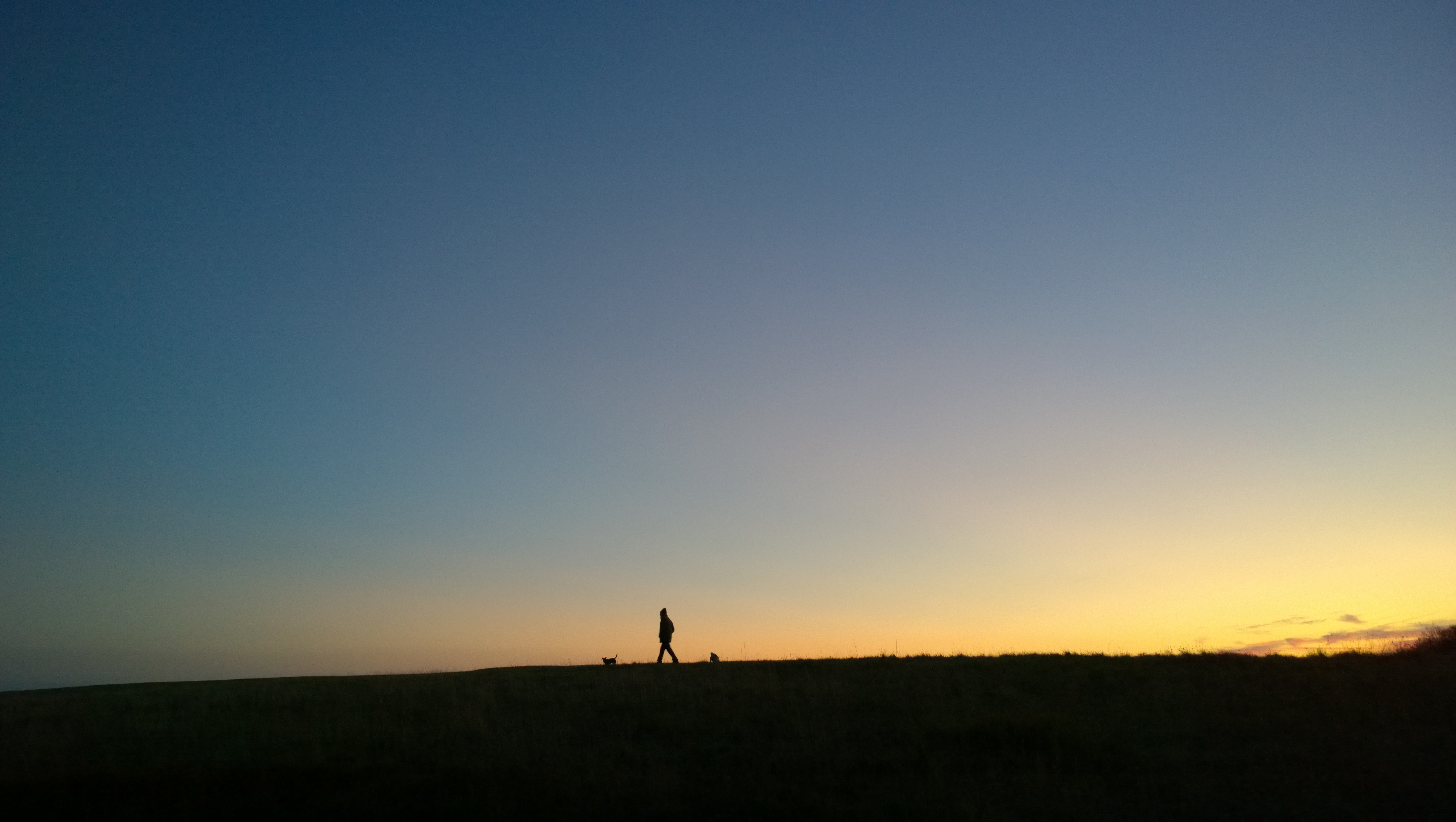 A picture of a man walking his dogs with the sun setting.